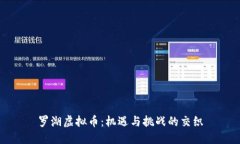 罗湖虚拟币：机遇与挑战的交织