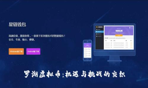 罗湖虚拟币:机遇与挑战的交织