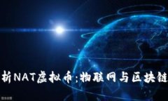 深入解析NAT虚拟币：物联网与区块链的融合
