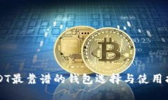 USDT最靠谱的钱包选择与使用指南