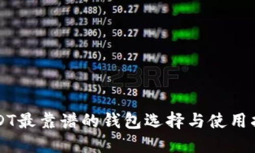 USDT最靠谱的钱包选择与使用指南