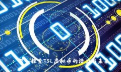 : 深入探索TSL虚拟币的潜力与未来