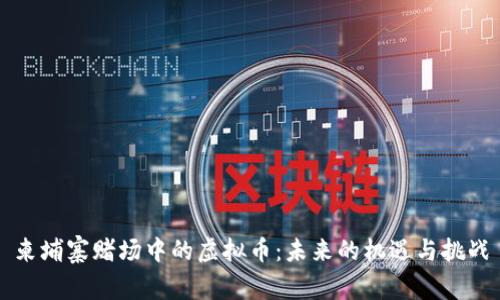 柬埔寨赌场中的虚拟币:未来的机遇与挑战