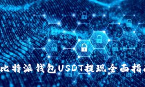 比特派钱包USDT提现全面指南