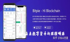 AMB虚拟币：未来数字货币的璀璨明珠