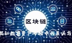 虚拟币鲸鱼：揭秘数字资产市场中的巨头与他们