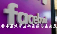 比特币暴跌背后的原因与未来展望