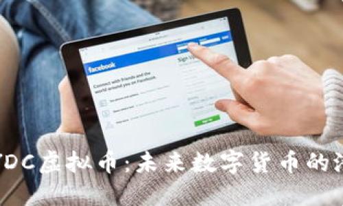 深入了解YDC虚拟币:未来数字货币的潜力与挑战