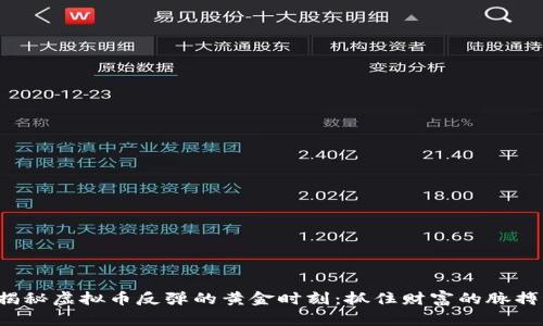 揭秘虚拟币反弹的黄金时刻：抓住财富的脉搏！