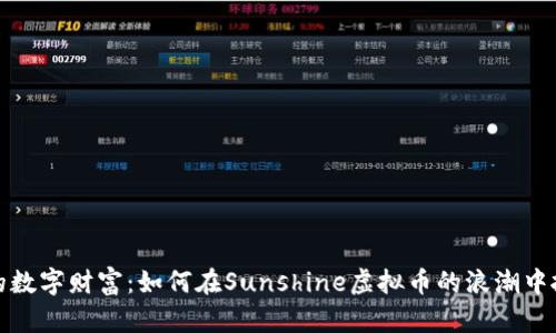 阳光下的数字财富：如何在Sunshine虚拟币的浪潮中抓住机会