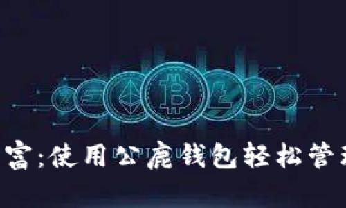 解锁数字财富：使用公鹿钱包轻松管理你的USDT