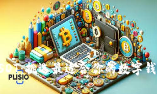 掌握USDT：挑选最适合你的数字钱包软件