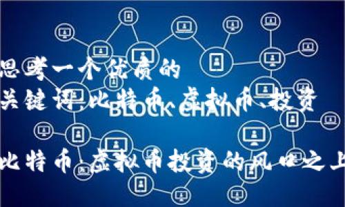 思考一个优质的  
关键词：比特币、虚拟币、投资

比特币：虚拟币投资的风口之上