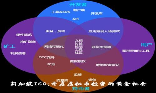 新加坡ICO：开启虚拟币投资的黄金机会