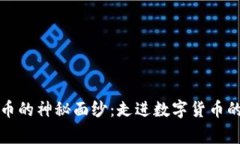 揭开虚拟币的神秘面纱：走进数字货币的真实故