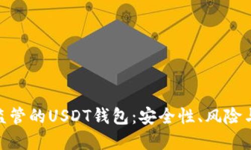 探索不受监管的USDT钱包：安全性、风险与未来机遇