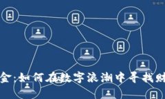 虚拟币黄金：如何在数字浪潮中寻找财富的灯塔