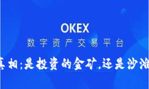 虚拟币的真相：是投资的金矿，还是沙滩上的泡沫？