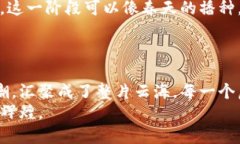 虚拟币开创指南：从想法到价值的全流程揭秘引