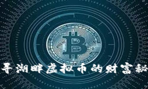 探寻湖畔虚拟币的财富秘境