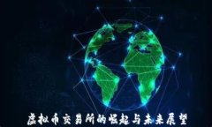 虚拟币交易所的崛起与未来展望
