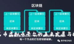 人民币虚拟币平台的未来发展与挑战