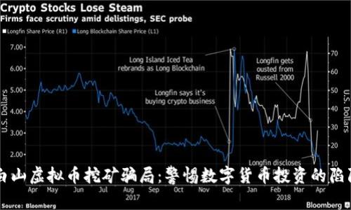 白山虚拟币挖矿骗局：警惕数字货币投资的陷阱