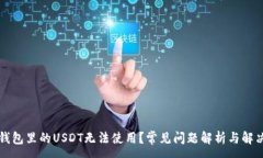 :为何钱包里的USDT无法使用？常见问题解析与解决