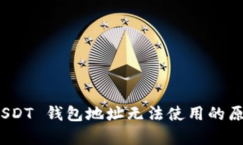 : 深入分析 USDT 钱包地址无法使用的原因及解决方案