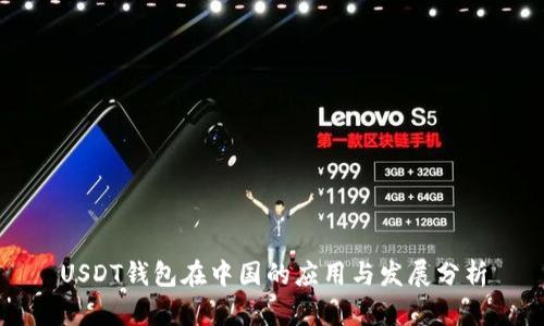 USDT钱包在中国的应用与发展分析