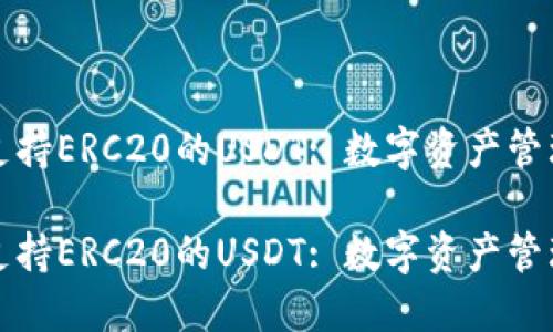 货币钱包支持ERC20的USDT: 数字资产管理的新选择

货币钱包支持ERC20的USDT: 数字资产管理的新选择