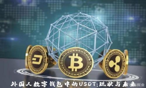 
外国人数字钱包中的USDT：现状与未来