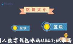 外国人数字钱包中的USDT：现状与未来