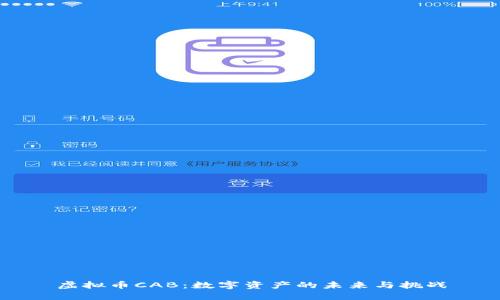 虚拟币CAB：数字资产的未来与挑战