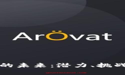 虚拟币的未来：潜力、挑战与机遇