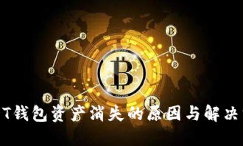 USDT钱包资产消失的原因与解决方案