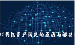 USDT钱包资产消失的原因与解决方案