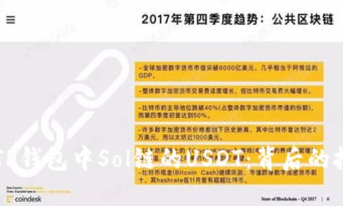 深入探讨TP钱包中Sol链的USDT：背后的技术与应用
