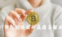  USDT钱包被冻结的原因与解决方案