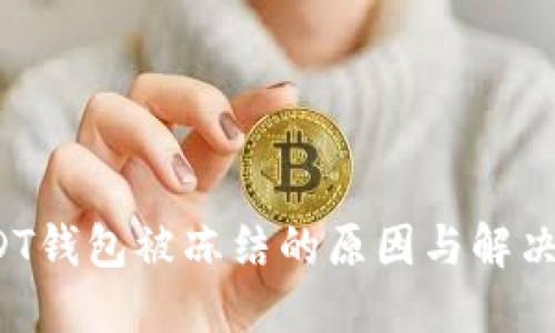  USDT钱包被冻结的原因与解决方案