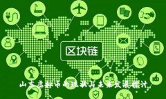山东虚拟币的现状与未来发展探讨