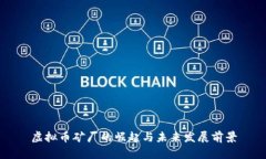 虚拟币矿厂的崛起与未来发展前景