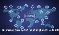 : 深度解析虚拟币CSS：未来投资的潜力与风险