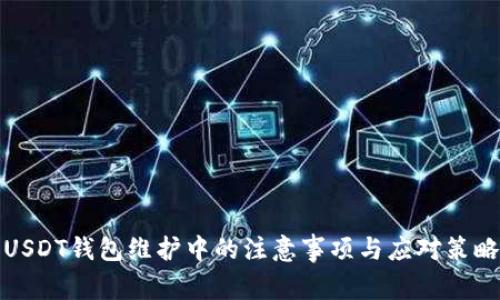 USDT钱包维护中的注意事项与应对策略