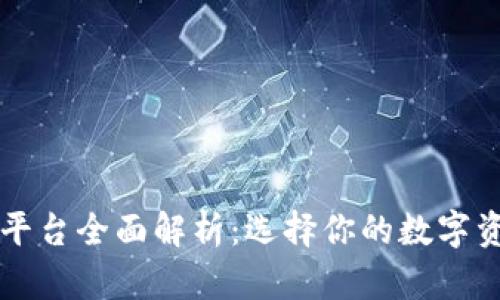 虚拟币钱包平台全面解析：选择你的数字资产保管工具