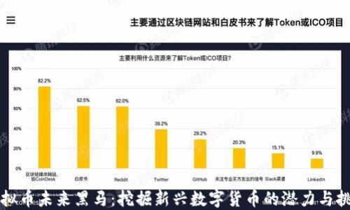 
虚拟币未来黑马：挖掘新兴数字货币的潜力与挑战