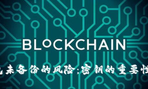  虚拟币钱包未备份的风险：密钥的重要性与安全实践